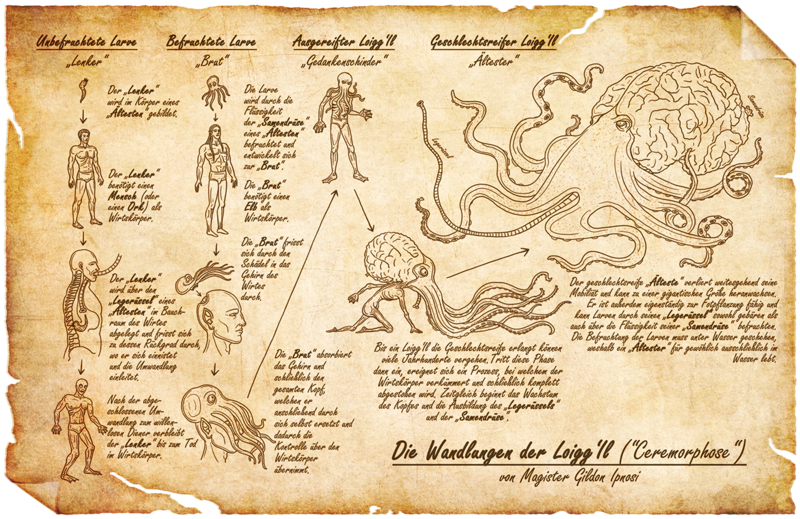 Ceremorphose.png