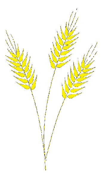 Datei:Passion-Symbol-Ardon.gif