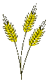 Passion-Symbol-Ardon.gif